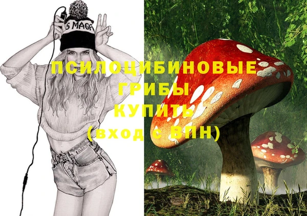 метамфетамин Алексеевка