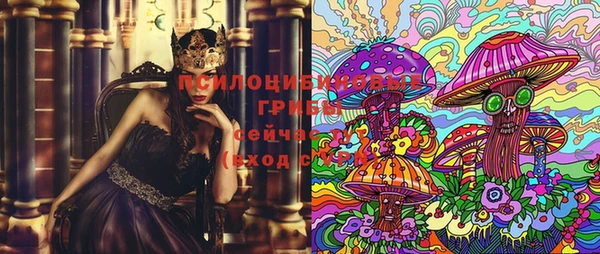 ПСИЛОЦИБИНОВЫЕ ГРИБЫ Алексин